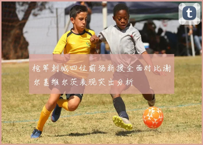 枪军刺城四位前场新援全面对比谢尔基维尔茨表现突出分析