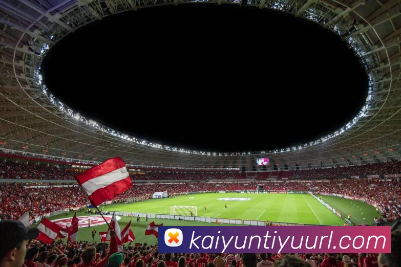 多媒体互动体验